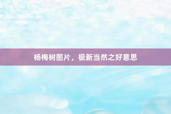 杨梅树图片，极新当然之好意思