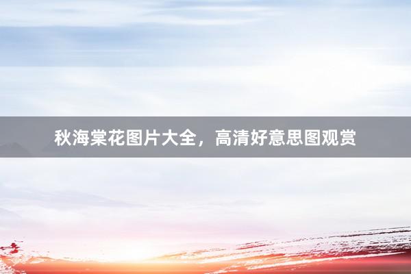 秋海棠花图片大全，高清好意思图观赏