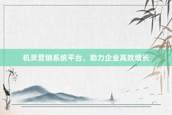 机灵营销系统平台，助力企业高效增长